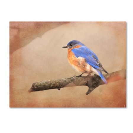 Jai Johnson 'Braving Autumn Bluebird' Canvas Art,18x24